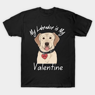 My Labrador is My Valentine T-Shirt